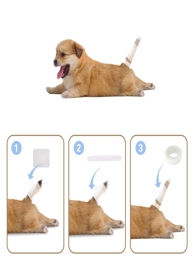 JINGHANGER 16 PCS Dog Tail Protector Dog Ends Starter Pack Including 10 Breathable Mesh Dog Tail Dressing 5 Gauze and 1 Roll Self-Adhesive Pet Bandage Vet Wrap for Dogs Cats Other Pets Animals - Image 3